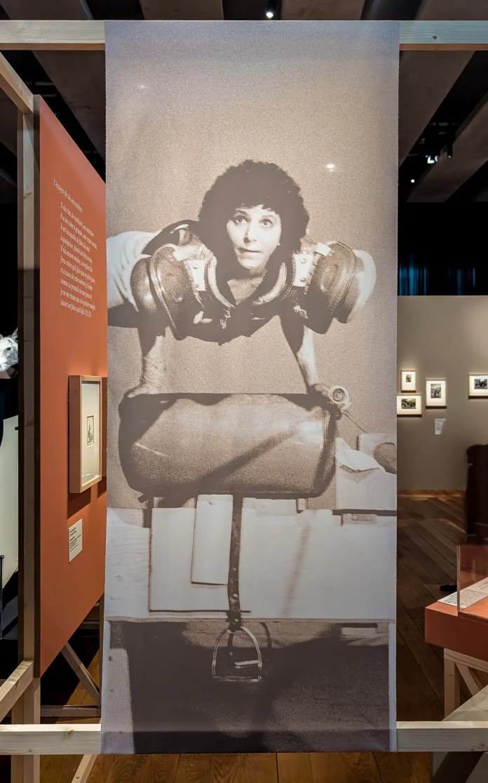 « Don Quichotte – Histoire de fou, histoire d’en rire » au Mucem, Marseille