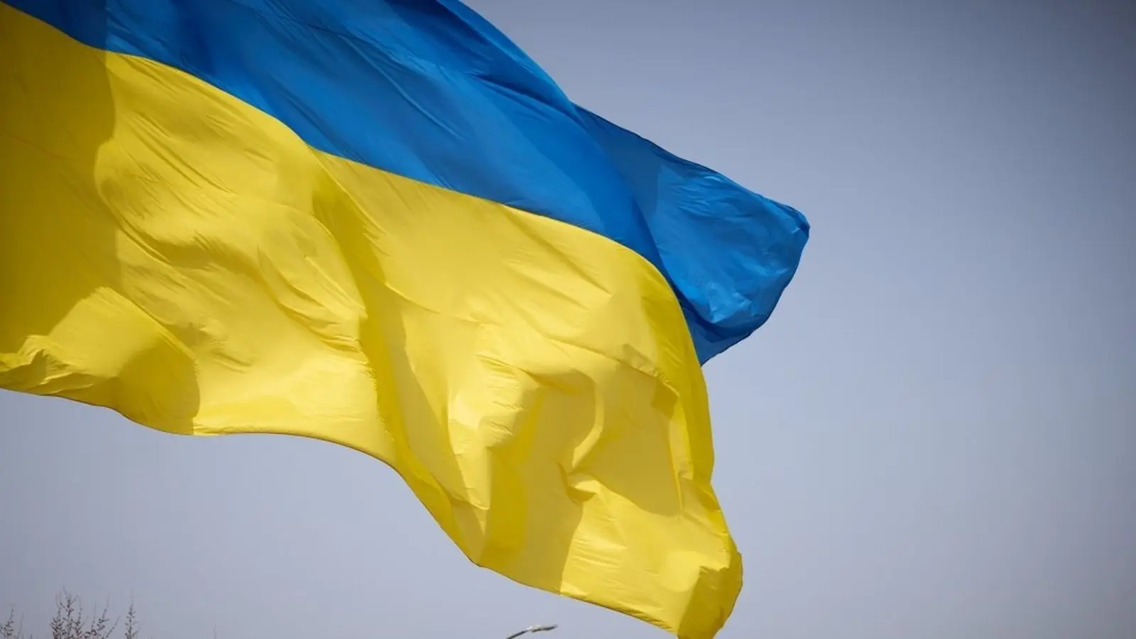 Daniel Davis accuse l’UE de prolonger la guerre