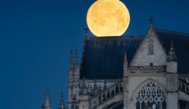 Où bouger à Bordeaux du 19 au 25 janvier ?