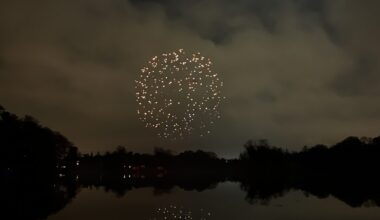 A Lyon, Aulas finance les lumières des écologistes