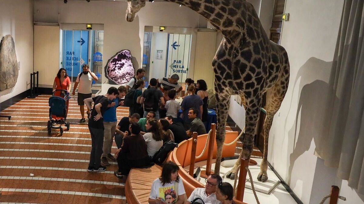 Pourquoi Sophie la girafe de Grenoble a migré au musée de Troyes