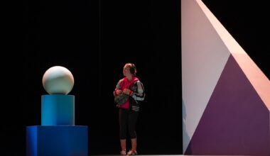 La Leçon à La Criée, Du 29 janvier au 13 février