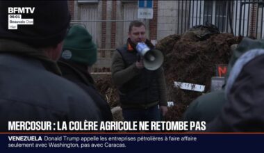 Malgré l'approbation de l'accord avec le Mercosur par l'UE, les actions des agriculteurs continuent