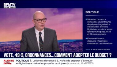 "Ce traité n'est pas bon pour l'Europe", soutient le ministre de l'Économie Roland Lescure