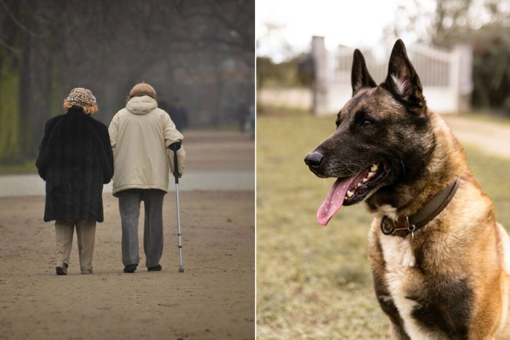 On parle peu d’elles, mais elles sont indispensables : découvrez ces petites associations que vous devriez absolument soutenir cette année à Paris