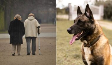 découvrez ces petites associations que vous devriez absolument soutenir cette année à Paris