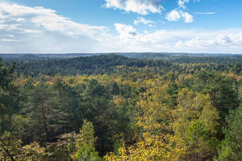 plus grande forêt ile-de-france