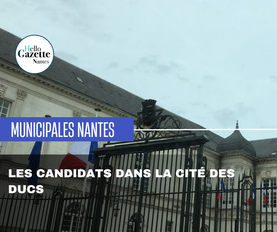 Le point dans la Ciré des Ducs