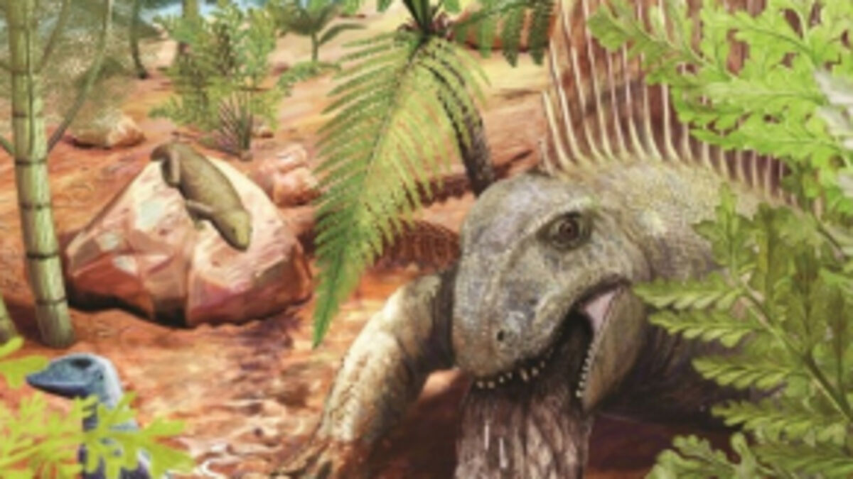 290 millions d’années : le plus ancien vomi fossile terrestre découvert en Allemagne