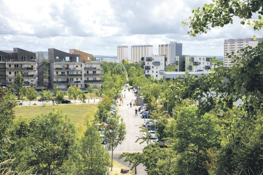 Gestion des arbres à Nancy : la Ville rappelle sa méthode après les réactions boulevard d’Austrasie