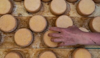 Atelier fromage, escape game, salon des vins indépendants… Nos idées de sorties gourmandes en