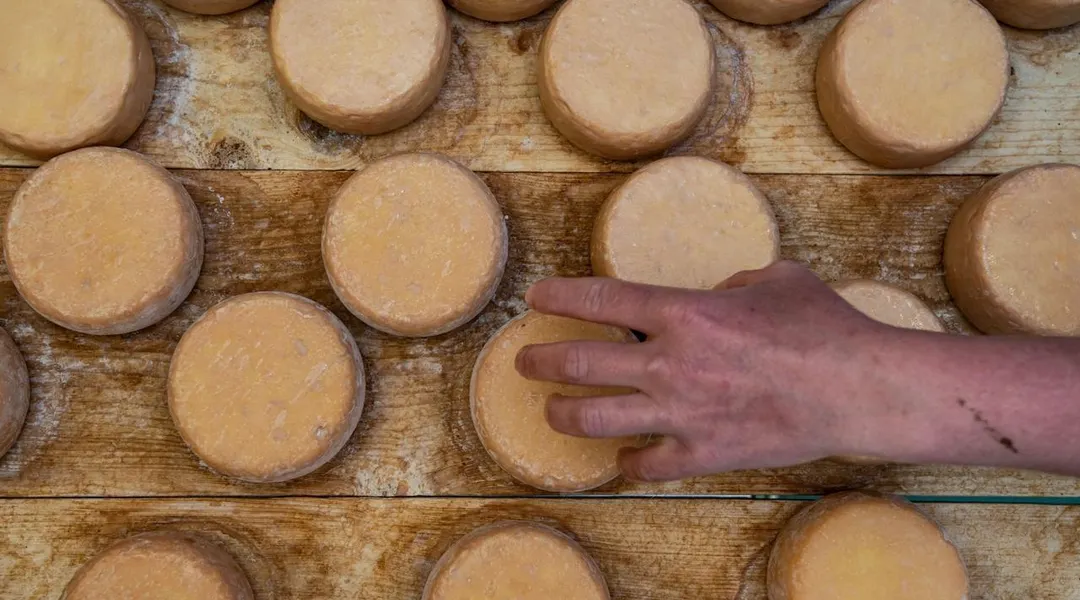 Atelier fromage, escape game, salon des vins indépendants… Nos idées de sorties gourmandes en