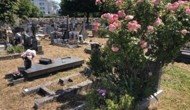 Un hommage à Franck, un sans-abri mort dans l’anonymat : le troisième décès de personnes à - Maville