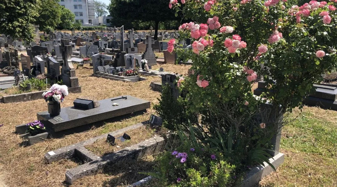 Un hommage à Franck, un sans-abri mort dans l’anonymat : le troisième décès de personnes à - Maville