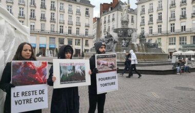 Une manifestation à Nantes pour dénoncer « une industrie cruelle »