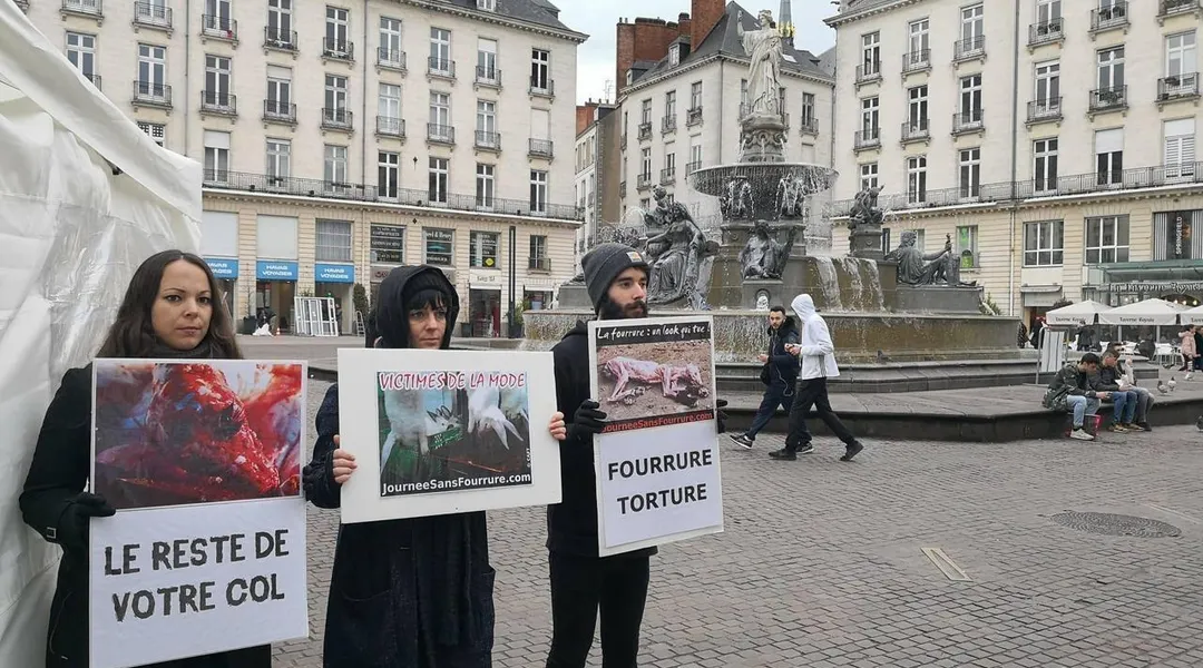 Une manifestation à Nantes pour dénoncer « une industrie cruelle »