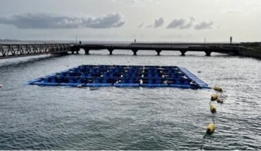 Trophées EnerGaïa : le nantais HelioRec primé pour son système flottant solaire