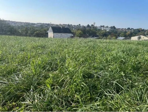 La ferme du Chef-de-l’Eau, dont 10 ha dans le marais, pourrait convenir à un petit élevage, en agriculture biologique Nantes métropole photo la ferme du chef-de-l’eau, dont 10 ha dans le marais, pourrait convenir à un petit élevage, en agriculture biologique © nantes métropole