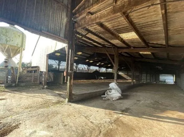 Une stabulation. Nantes métropole photo une stabulation. © nantes métropole