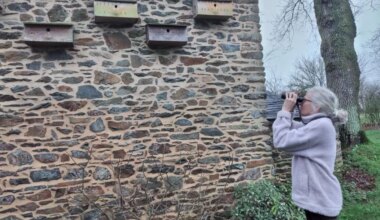 Comment s’y prendre pour observer et compter les oiseaux dans les jardins ?