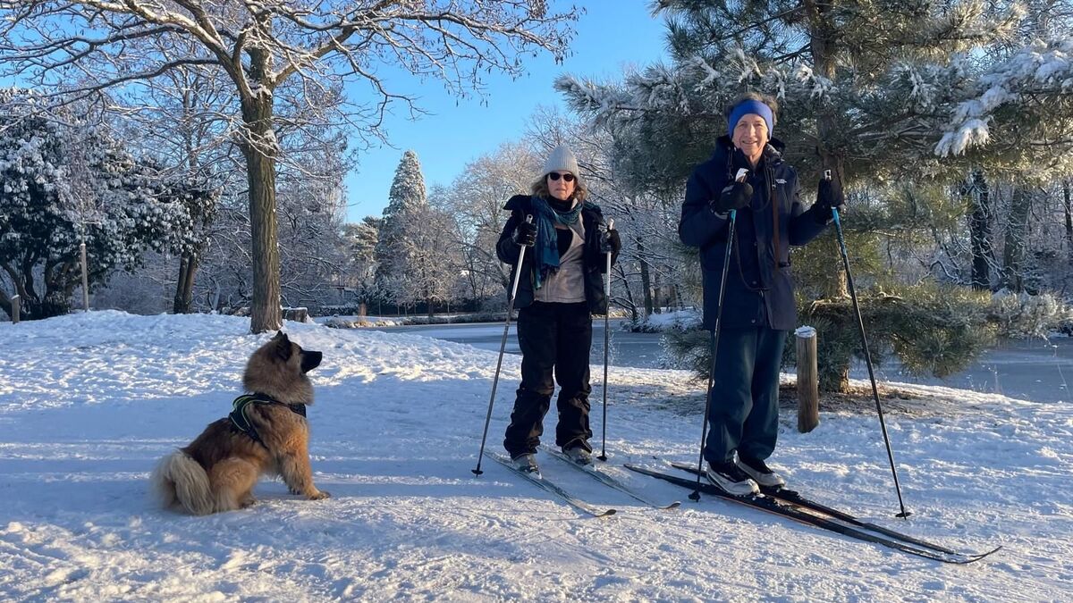 « C’est incroyablement beau » : les plus belles images de l’Île-de-France sous la neige