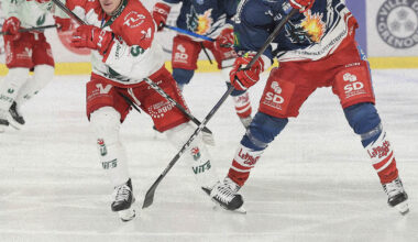 Revers à la maison - Brûleurs de Loups