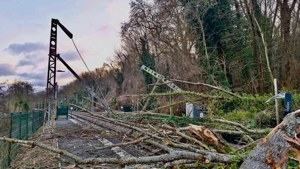 Tempête Goretti en Île-de-France : aucun RER D ne circulera entre Corbeil-Essonnes et Melun ce week-end