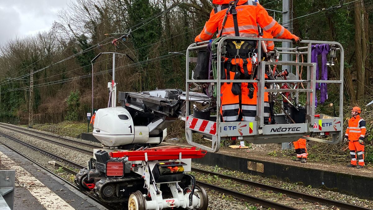 Après cinq jours de coupure, le RER D circule à nouveau entre Melun et Corbeil