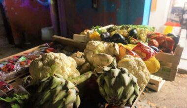 Une partie des fruits et légumes de la récolte © Simon Marseille - Place Gre'net