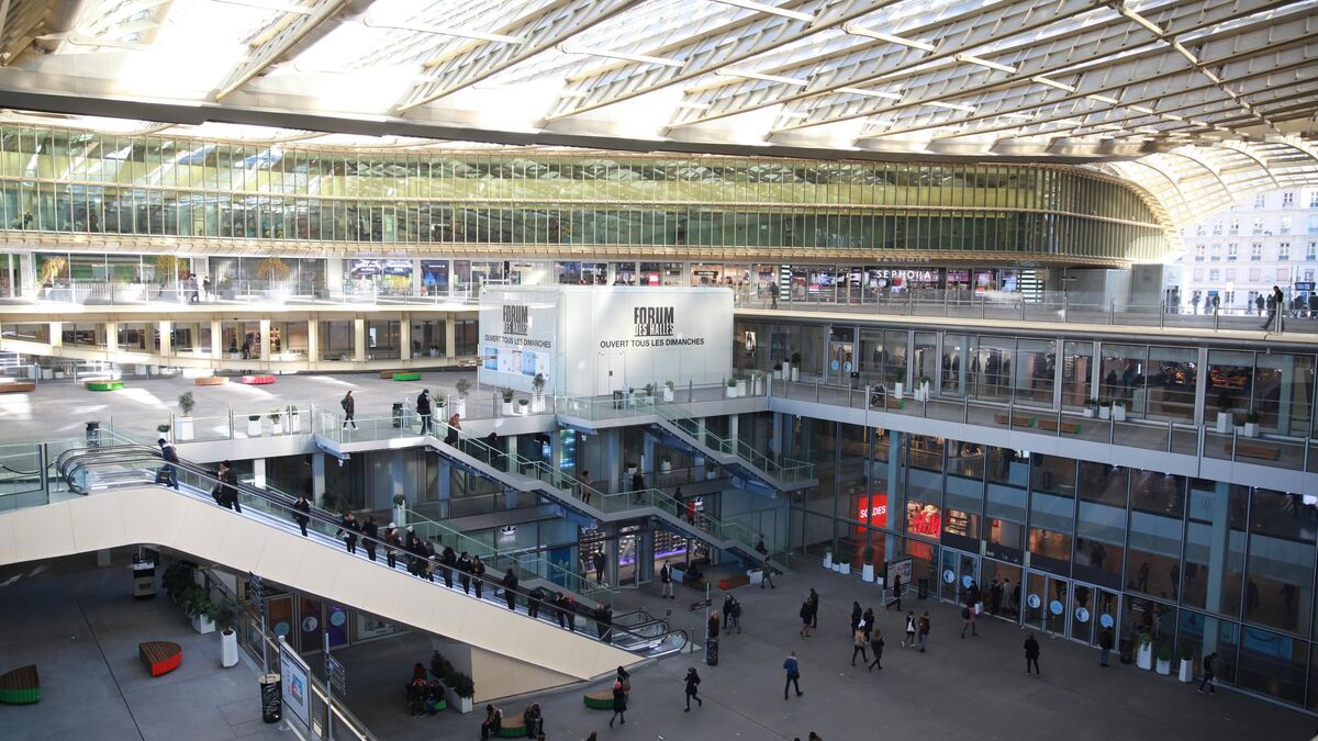 « Salope », « Je vais vous torturer » : insultes, punaises de lit et sous-effectifs, les agents de la médiathèque de la Canopée à Paris sont à bout