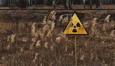 Un champignon de Tchernobyl pourrait protéger les astronautes lors de la conquête de Mars