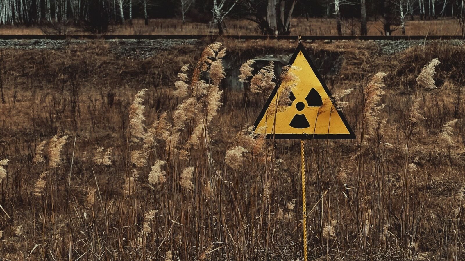 Un champignon de Tchernobyl pourrait protéger les astronautes lors de la conquête de Mars