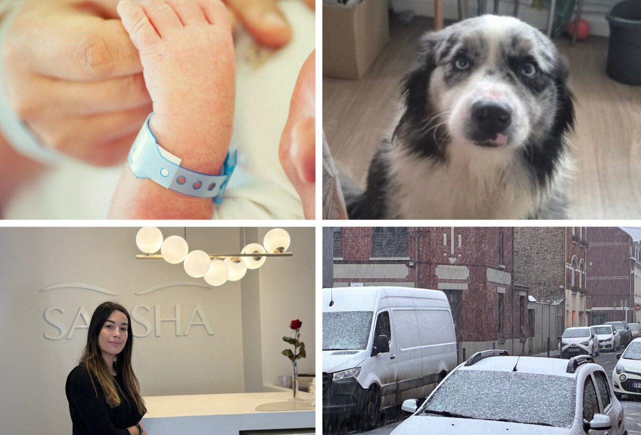 Premier bébé de 2026, chien sauvé de l’abandon, commerces, neige… 10 infos marquantes de la semaine à Lille