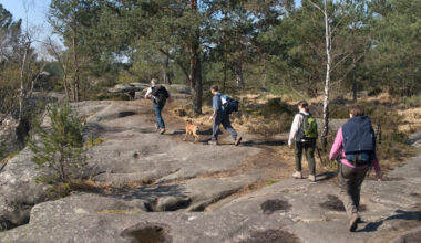 Pourquoi aller en forêt en Île-de-France ce week-end est une très mauvaise idée