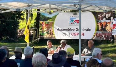 la France pays fondateur de l’Europe, un comble que sa voix ne soit plus entendue »