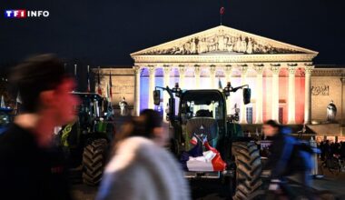 EN DIRECT - Colère agricole : la FNSEA va "rester pour la nuit" aux abords de l'Assemblée