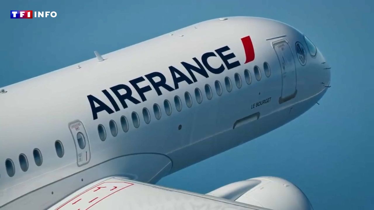 Dubaï, Tel-Aviv, Riyad... Air France et KLM suspendent plusieurs vols vers le Moyen-Orient