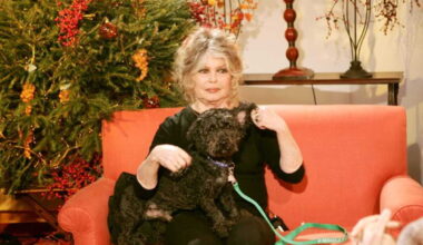 Page d'accueil Yahoo style