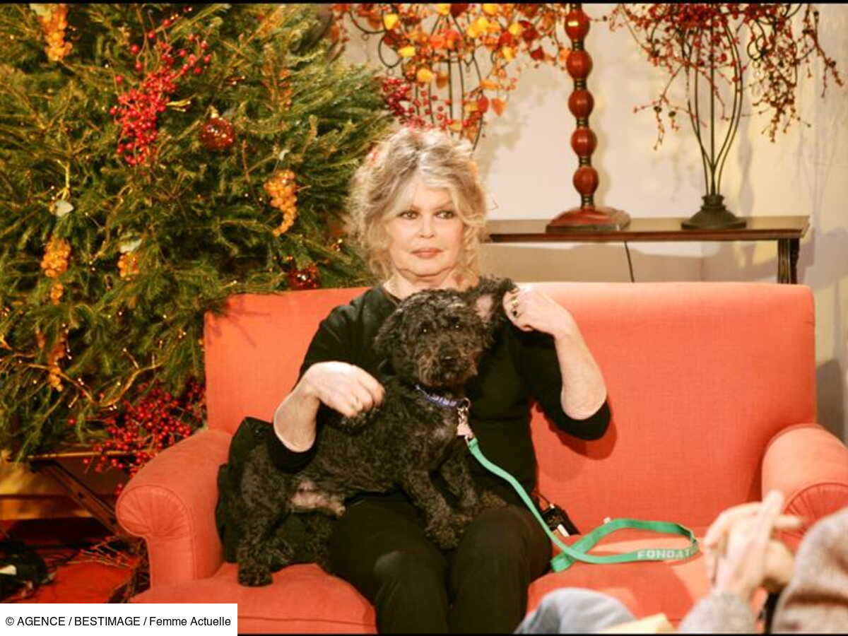 Page d'accueil Yahoo style