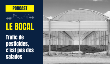[Podcast] Trafic de pesticides, c'est pas des salades