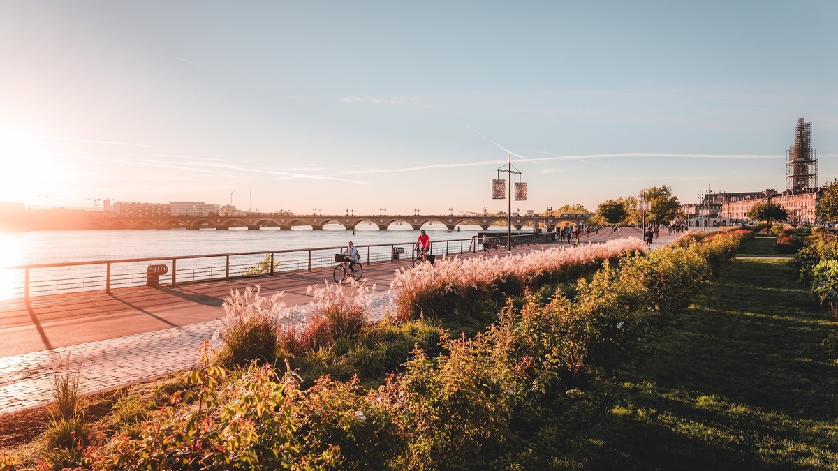 Les bons plans de la semaine (du 12 au 18 janvier 2026)