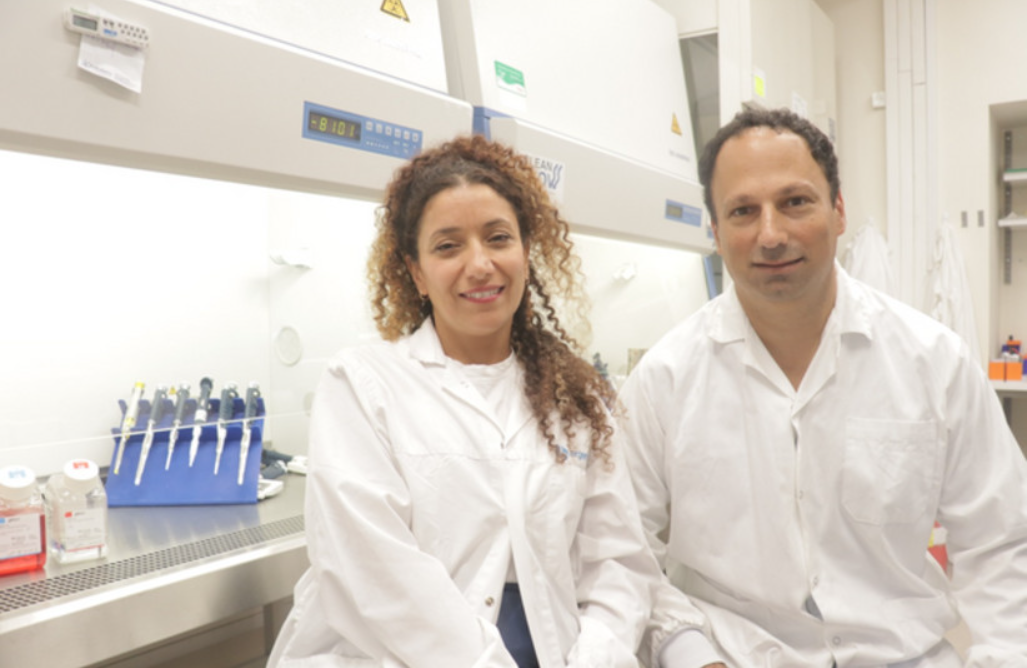 cancer tumeurs immunothérapie