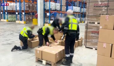 "Le conteneur était censé contenir des pots de fleurs" : saisie record de 16 tonnes de tabac à Marseille