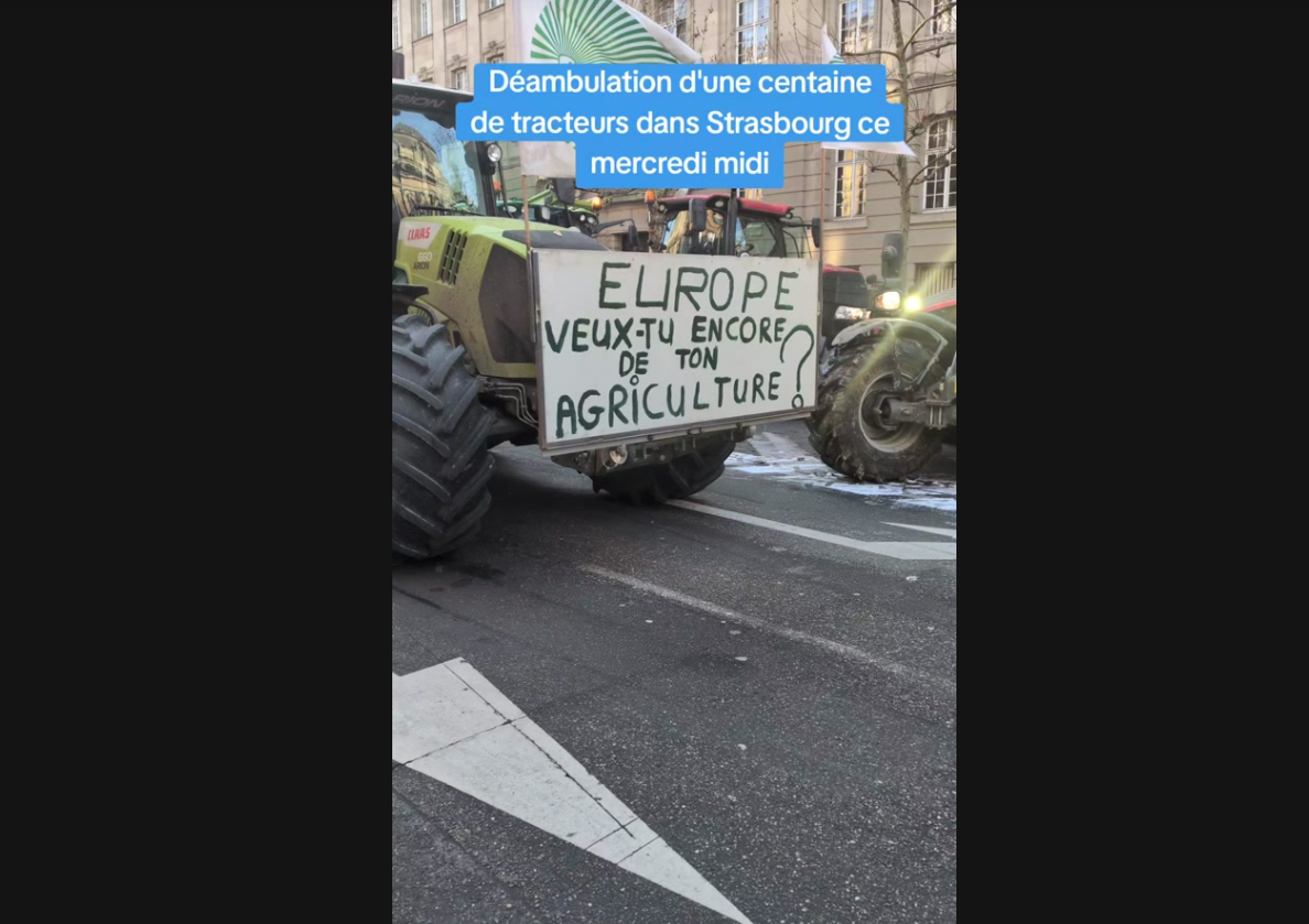 Vidéo. Les agriculteurs manifestent à Strasbourg contre le Mercosur et pour la PAC