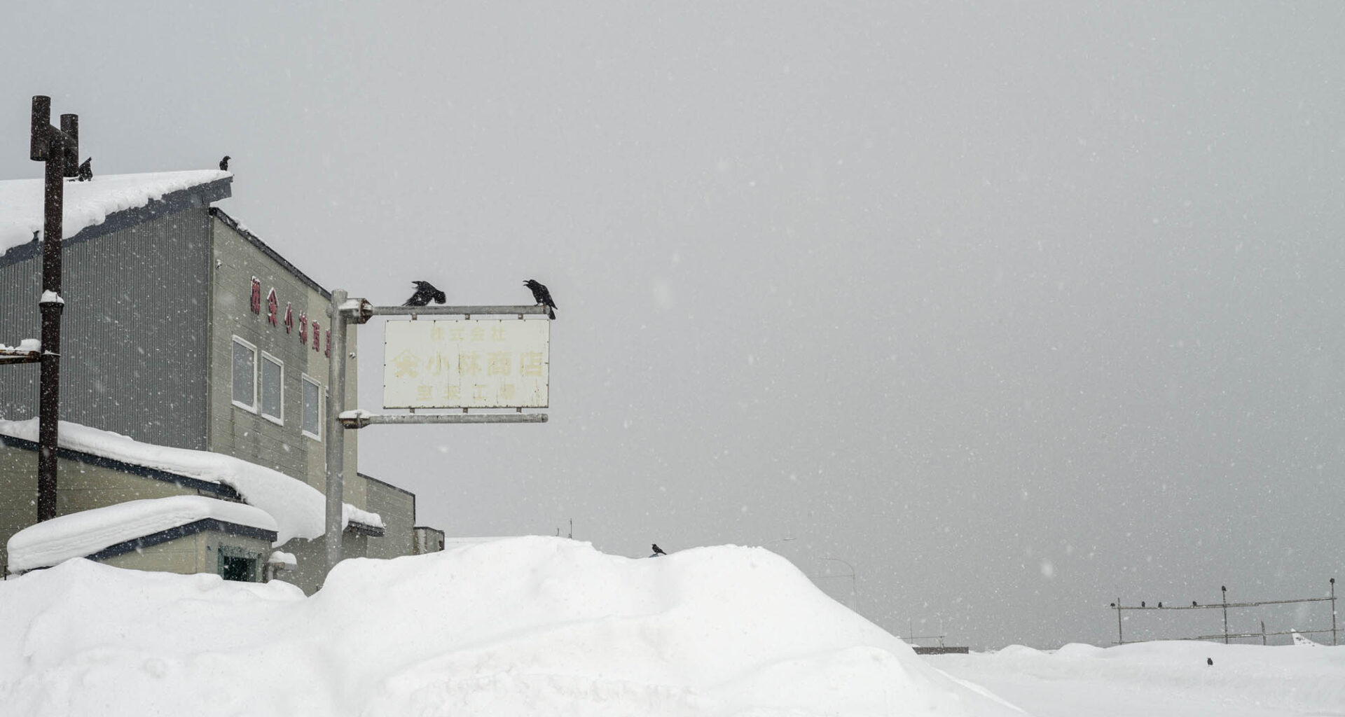 Catherine Henriette capture le silence blanc d'Hokkaidō à la galerie Leica Paris