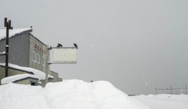 Catherine Henriette capture le silence blanc d'Hokkaidō à la galerie Leica Paris