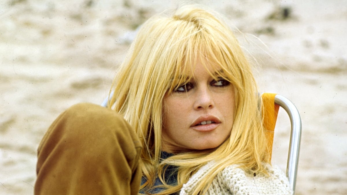 Ce jour où Jacques Dutronc a dérapé avec Brigitte Bardot, Françoise Hardy en alerte : "Cela jeta un froid…"