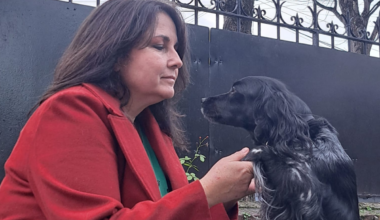 les maîtres de chiens désemparés par le phénomène des électrocutions en Île-de-France