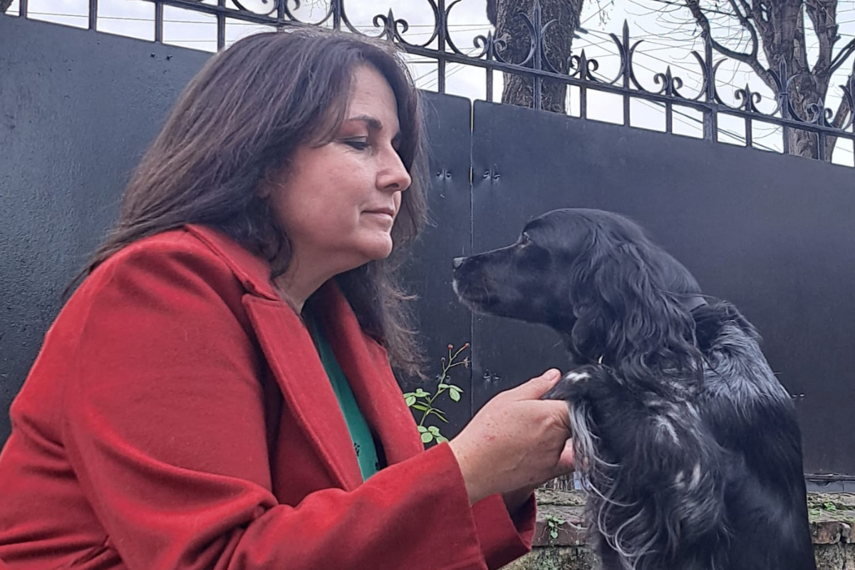 les maîtres de chiens désemparés par le phénomène des électrocutions en Île-de-France