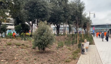 changement climatique